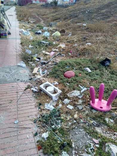 La basura se amontona junto a las aceras (Foto TA).